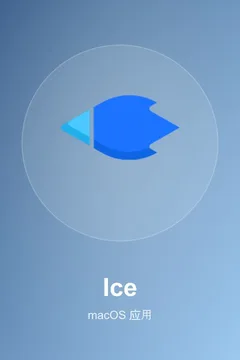 Ice