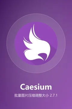 批量图片压缩调整大小海报