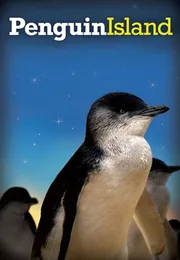 企鹅之岛海报