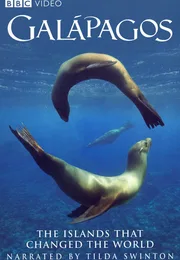 加拉帕戈斯群岛海报