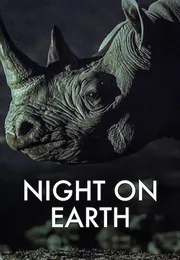 地球的夜晚海报