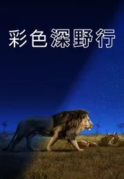 Earth at Night in Colour海报