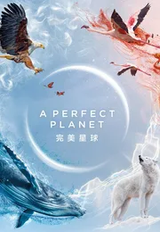 完美星球海报