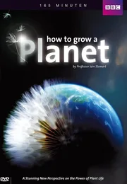 植物之歌海报