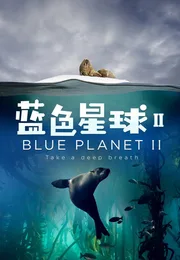 蓝色星球 2海报