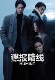 谍报暗线海报