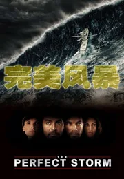 完美风暴海报