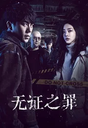 无证之罪海报