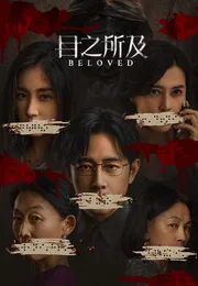 目之所及海报