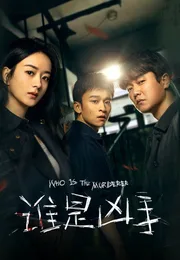 谁是凶手海报