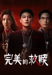 完美的救赎海报