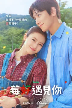 莓好遇见你海报
