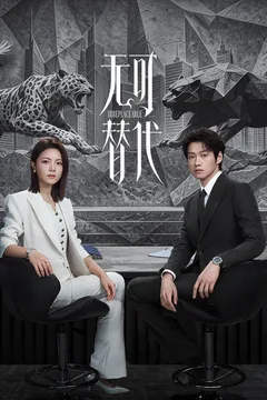 无可替代海报