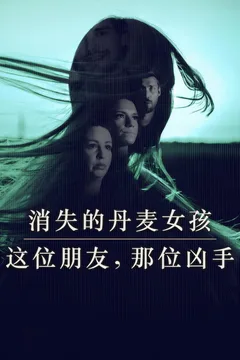消失的丹麦女孩：这位朋友，那位凶手海报